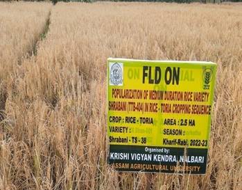 agro1