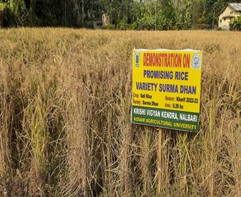 agro4