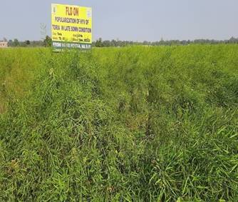agro6